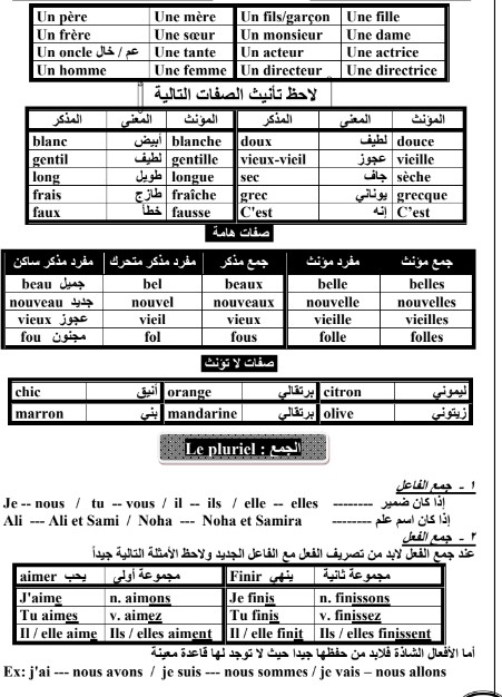 قواعد اللغة الفرنسية 